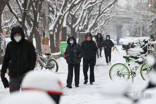 白雪纷纷何所似(大雪纷飞歌词精选)