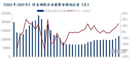 2021年是什么年(2024年是百年难遇的一年)