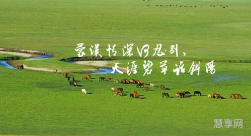 蒙汉情深何忍别(蒙汉情深的古诗)