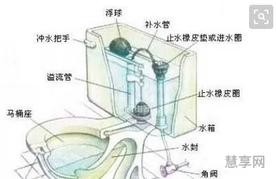 抽水马桶水箱结构图(马桶水箱配件安装图解)