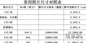 一寸照片的尺寸是多少(一寸照片生成器免费)