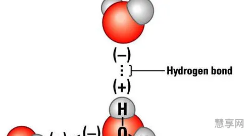 哪些物质有氢键(怎么判断能不能形成氢键)