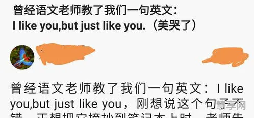 likeyou是什么意思(likeyou算表白吗)