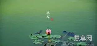 立夏的来历和风俗(24节气的背诵口诀)