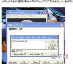 nds模拟器金手指怎么用(nds白金金手指代码)