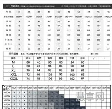 l号是多大尺码(女装尺码表标准尺寸)