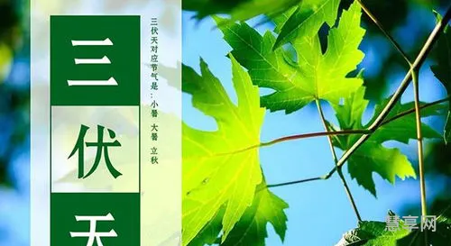 今年哪天入伏第一天(三伏的日期怎样确定)