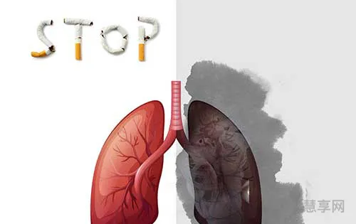 吸烟对人体的危害(吸烟的坏处40条)
