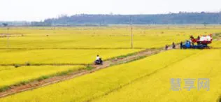 一亩地多少平方(手机测量土地)