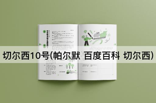 切尔西10号(帕尔默 百度百科 切尔西)