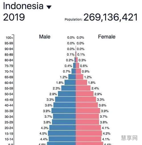 美国人口2019几亿(中国人口是多少亿人)