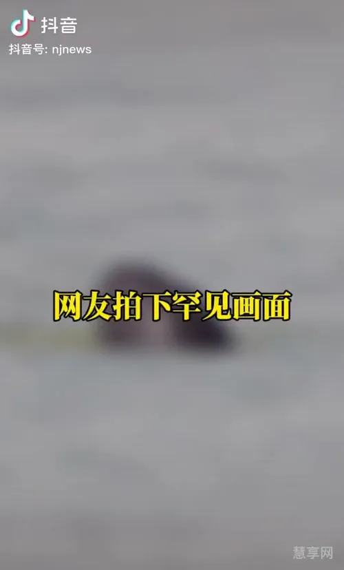 是你给我的力量(什么给了我力量600字)