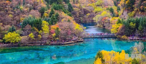 九寨沟是那个省(几月份去九寨沟旅游最佳时间)