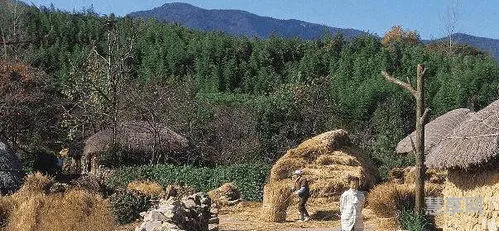 鸟笼里飞不出雄鹰(雄鹰之所以选择天空,那是因为)