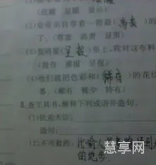 随声附和什么意思(随声附和是褒义词还是贬义词)