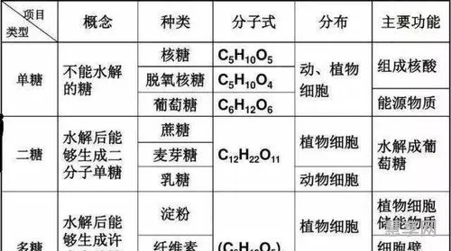 高一生物知识点总结(高中生物必修一笔记整理)