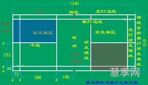 羽毛球规则图解(羽毛球场地界限规则)