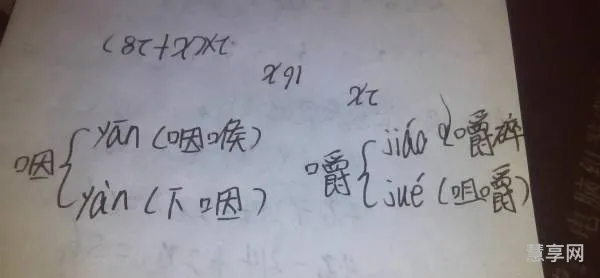 咽的多音字组词(多音字有哪些读音)