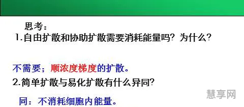 物质跨膜运输的方式(跨膜运输分为哪三类)