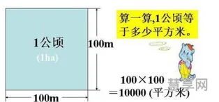 平方公里公顷(1公顷等于几亩)