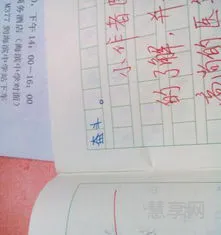 随笔400字(很小众却很惊艳的随笔)