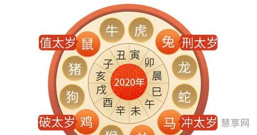 属鼠2020年运势及运程(96年的鼠过了26岁会越来越好)