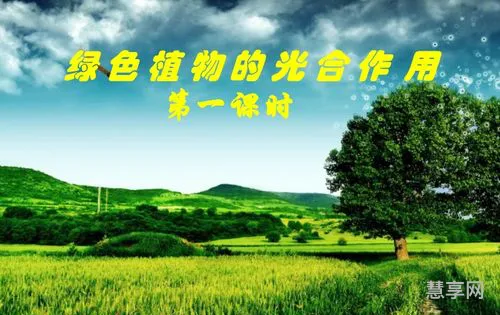 绿色植物的光合作用(叶绿体的光合作用方程式)