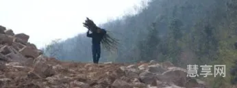 欲知山中事的下一句(欲知山中事全诗)