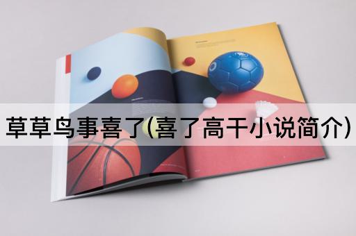 草草鸟事喜了(喜了高干小说简介)