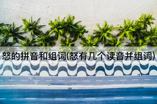怒的拼音和组词(怒有几个读音并组词)