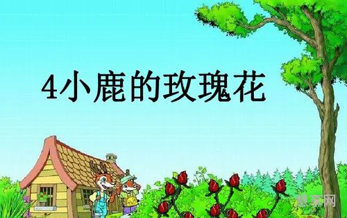 小鹿的玫瑰花(二年级下册小鹿的玫瑰花课文)