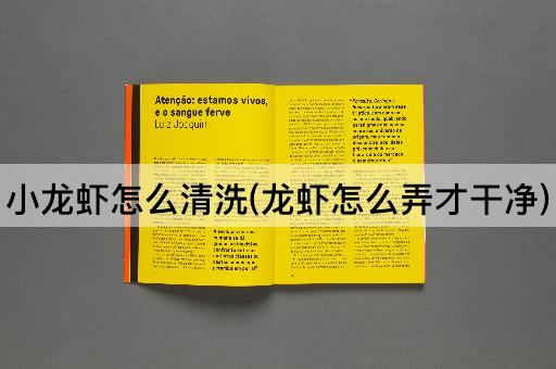 小龙虾怎么清洗(龙虾怎么弄才干净)