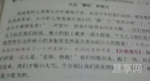 我的老师作文开头(写老师的优美开头结尾)