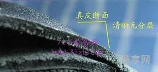 头层牛皮和二层牛皮的区别(头层皮好还是二层皮好)