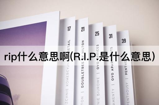 rip什么意思啊(R.I.P.是什么意思)