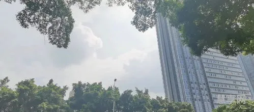 离穗是什么意思(离穂是指什么)