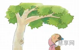 缘木求鱼是什么意思(缘木求鱼,虽不得鱼,无后灾)