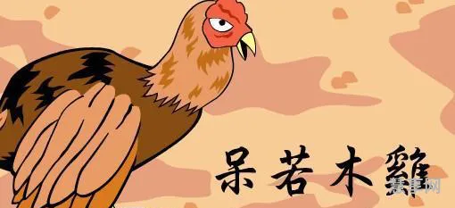呆若木鸡是什么生肖?(呆若木鸡打一最佳生肖)