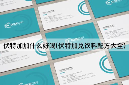 伏特加加什么好喝(伏特加兑饮料配方大全)