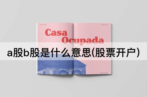 a股b股是什么意思(股票开户)