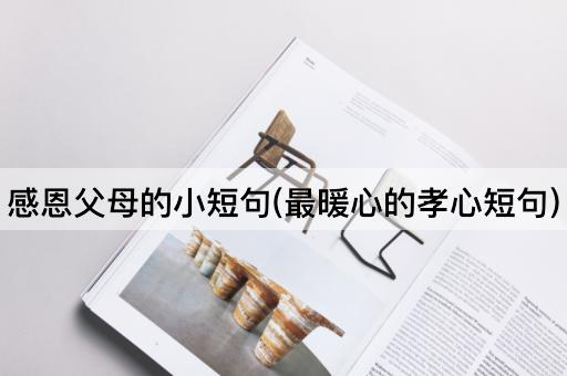 感恩父母的小短句(最暖心的孝心短句)