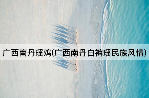 广西南丹瑶鸡(广西南丹白裤瑶民族风情)