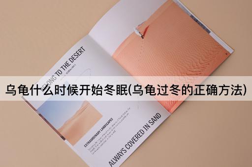 乌龟什么时候开始冬眠(乌龟过冬的正确方法)