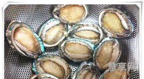 鲍鱼的做法及清洗(如何清洗鲍鱼才干净)
