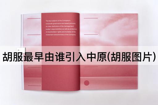 胡服最早由谁引入中原(胡服图片)