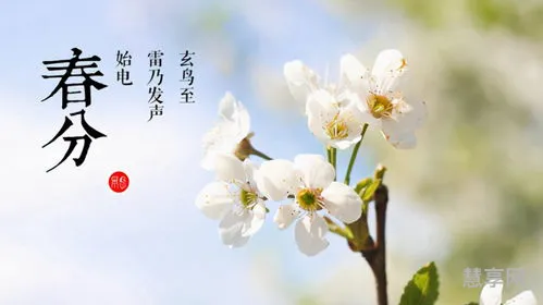 春分的寓意和象征(对春分的含义和理解)