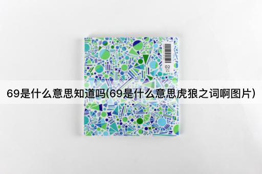 69是什么意思知道吗(69是什么意思虎狼之词啊图片)