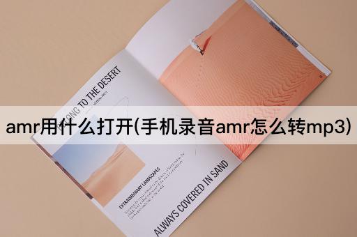 amr用什么打开(手机录音amr怎么转mp3)
