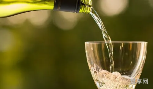 红葡萄酒和白葡萄酒的区别(干红与干白葡萄酒哪个好)