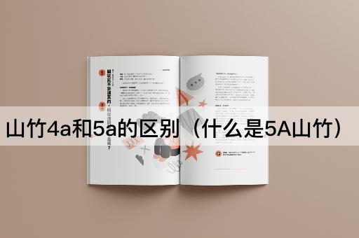 山竹4a和5a的区别（什么是5A山竹）